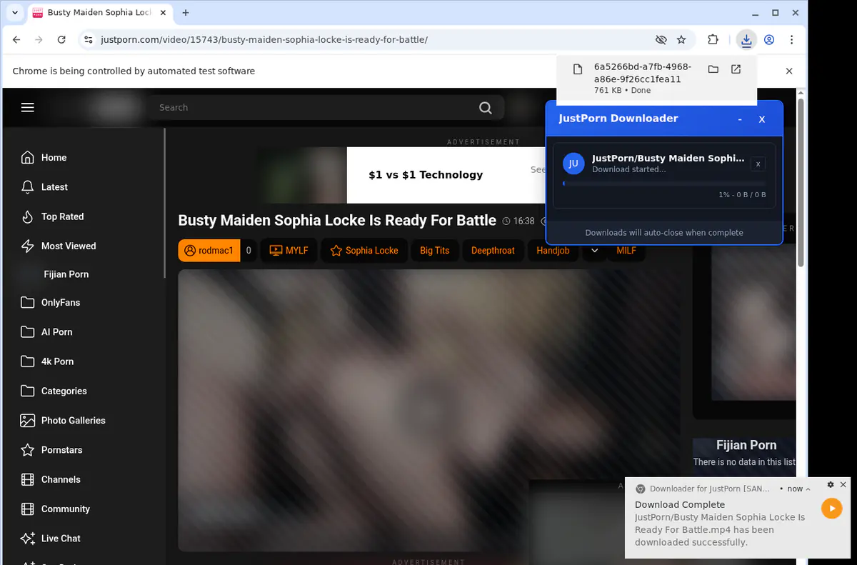 Justporn Video Downloader screenshot 2